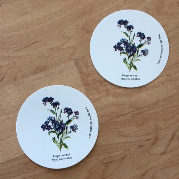 Brandy Melville Forget Me Not Flower Stickers Rare - Picture 2 of 2